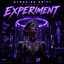Experiment