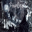 Wrath Of The Tyrant cover