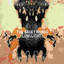 Lunglight cover