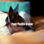Puppy Playtime Grooves cover