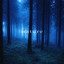 Balance of Nature Agy - KSUB VO091626