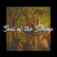 Soul of the Swamp cover