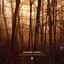 November Echoes cover