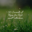 50 Sounds of Rain for Rest and Collection cover