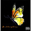 Butterflies cover