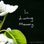 In Loving Memory - Molly Dowling