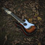 queen of autumn cover