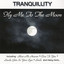 Fly Me To The Moon cover