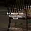 50 Meditation Sounds For Dogs cover