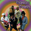 Permanent Press (Press On & Don't Stop) - Gee Mack & The Polyester Players
