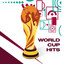 World Cup Hits cover