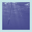 La Baleine et Le Musicien - Edit
