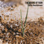 The Sound of Rain: Earths Nourishment cover