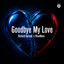 Goodbye My Love - Extended Mix