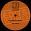 Window Guards - Dj Steaw Autumn Reshape