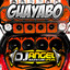 Guayabo - Car Audio cover