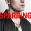 Sparring cover
