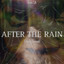 After the rain (Freshly Ground) - Freshly Ground
