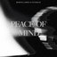 Peace Of Mind - Extended Mix