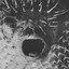 Blowfish artwork