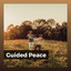 Guided Peace cover