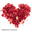 Completamente Enamorados cover
