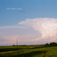 After Fillmore County cover