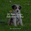 50 Meditation for Relaxation For Dogs cover