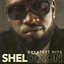 Shel Dixon — Enfermo cover art