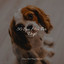 50 Spa Mix For Dogs cover