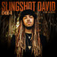 Slingshot David cover