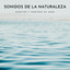 Sonidos De La Naturaleza: Arroyos y Sonidos De Agua cover