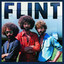 Flint profile