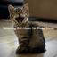 Relaxing Cat Piano Sleep
