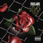 Sap Trap Trab cover