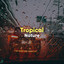 # 1 Album: Tropical Nature cover
