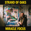 Strand Of Oaks - Ananda