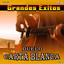 La Pajarita cover