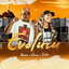 Evoluiu cover