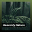 Heavenly Nature cover