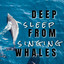 Deep sleep from singing Whales cover