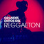 Grandes Exitos del Reggaeton cover