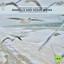 Ocean Waves Relaxation - High and Low Tides in Aegean Sea