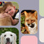 Delightful (The Cutest Puppy) cover