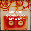 Are You Gonna Go My Way cover