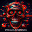 Visual Experience cover