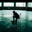 Muli cover