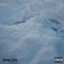 Avalon cover