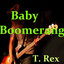 Baby Boomerang cover