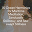 70 Ocean Harmonies for Maritime Meditation, Sandcastle Soliloquy, and Sea-swept Stillness cover